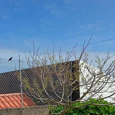 Clover's House - Al Algarvia