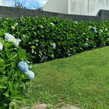 Clover's House - Al Tatil Evi Algarvia