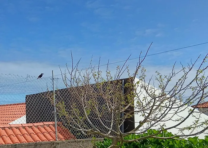 Clover's House - Al Algarvia