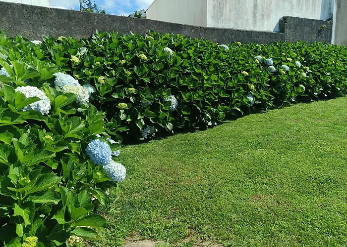 Clover's House - Al Casa de Férias Algarvia